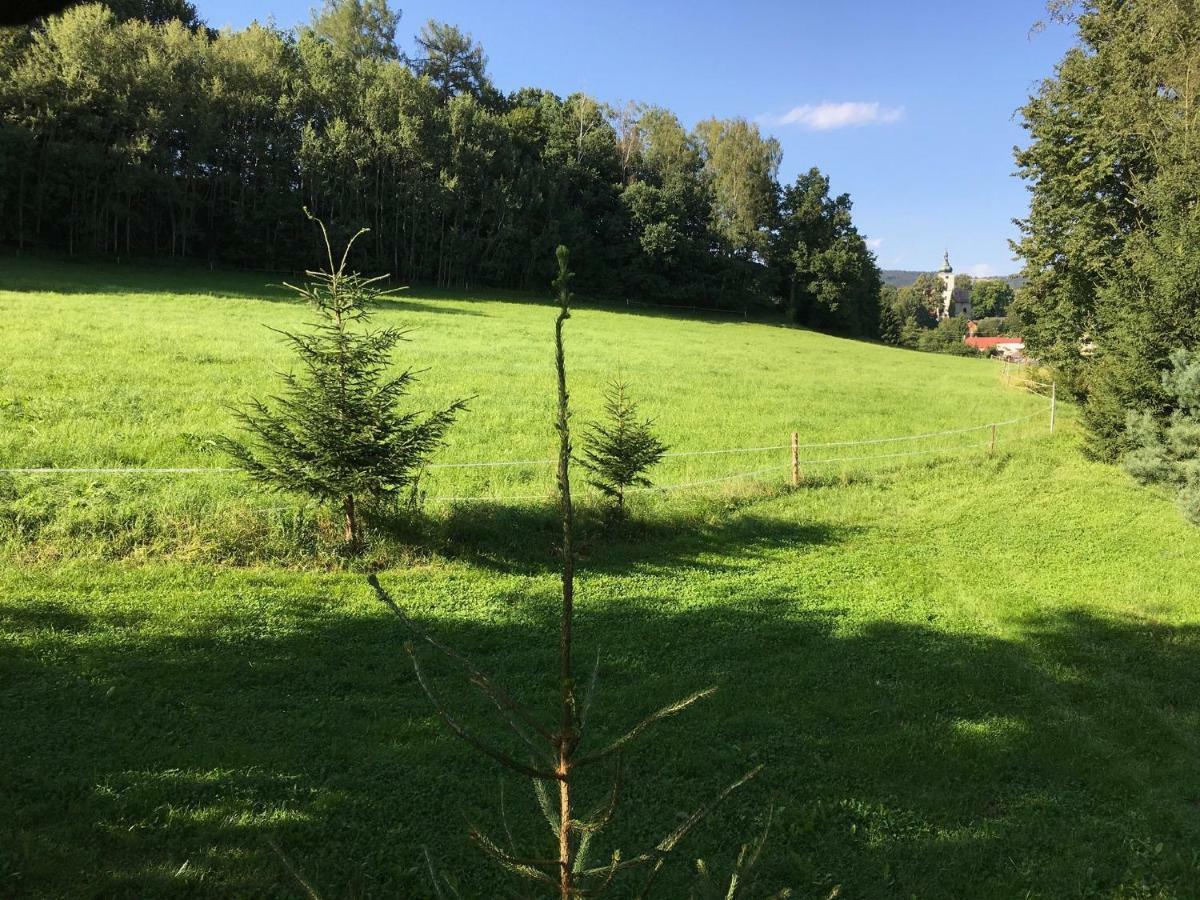 Vila Samostatný mezonetový apartmán s dvěmi ložnicemi a vlastní krytou terasou a sdíleným bazénem Rudník Exteriér fotografie